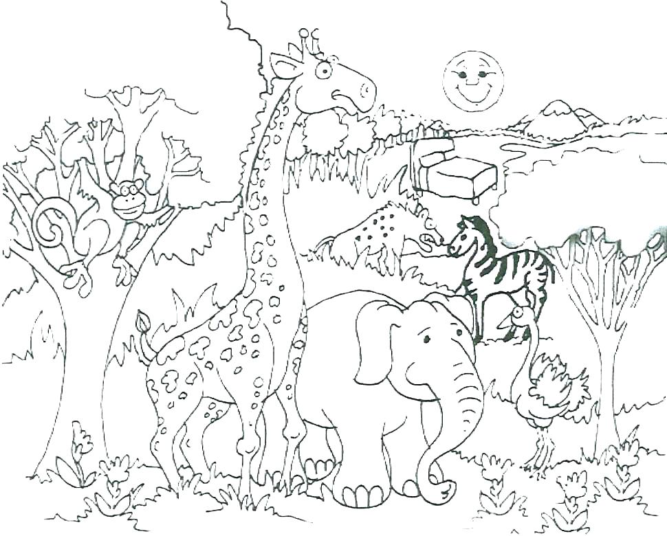 970x780 Baby Safari Animals Coloring Pages Baby Safari Animals Coloring