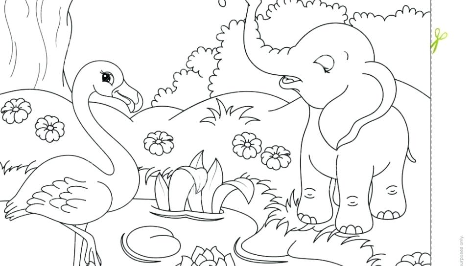 960x544 African Savanna Coloring Pages Best Colouring In Pages Images