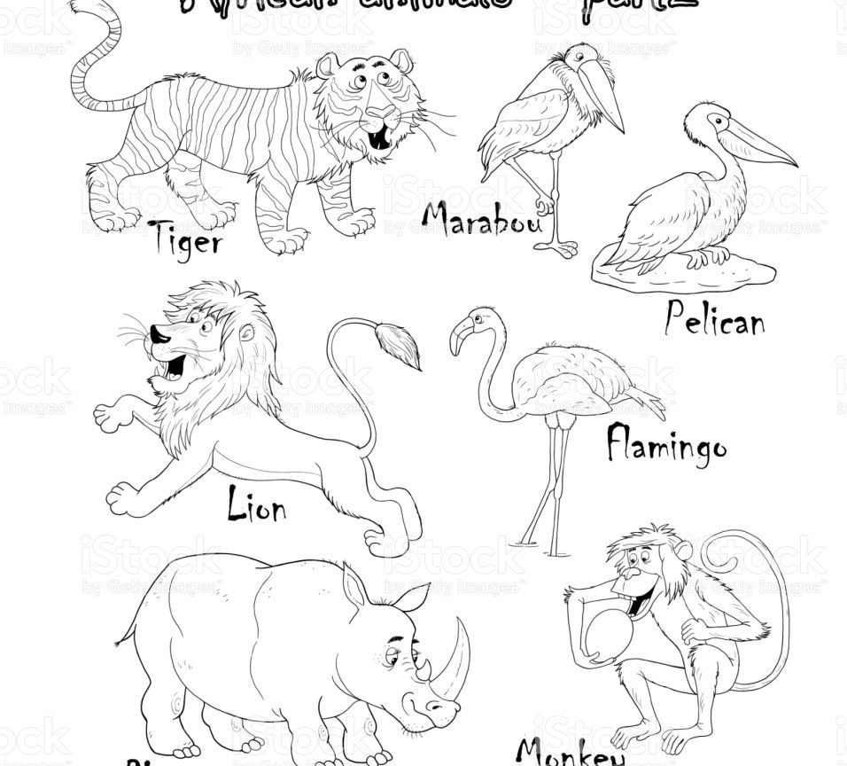956x864 African Animals Coloring Page Free Pages For Kids Sheets