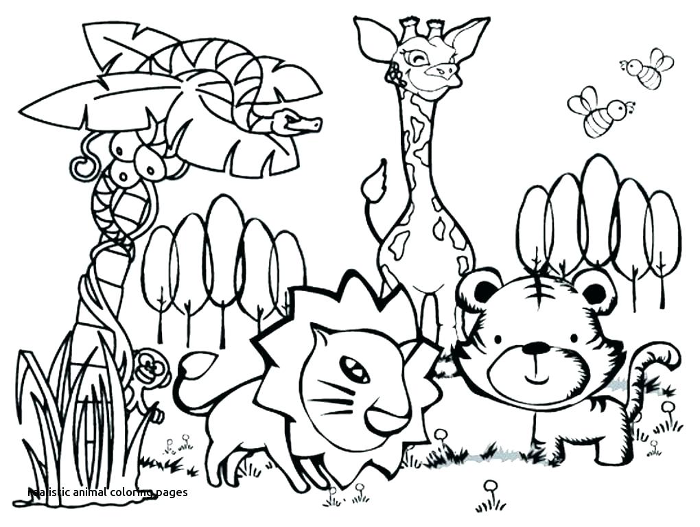 1020x768 African Animals Coloring Pages Animal Coloring Pages Savanna