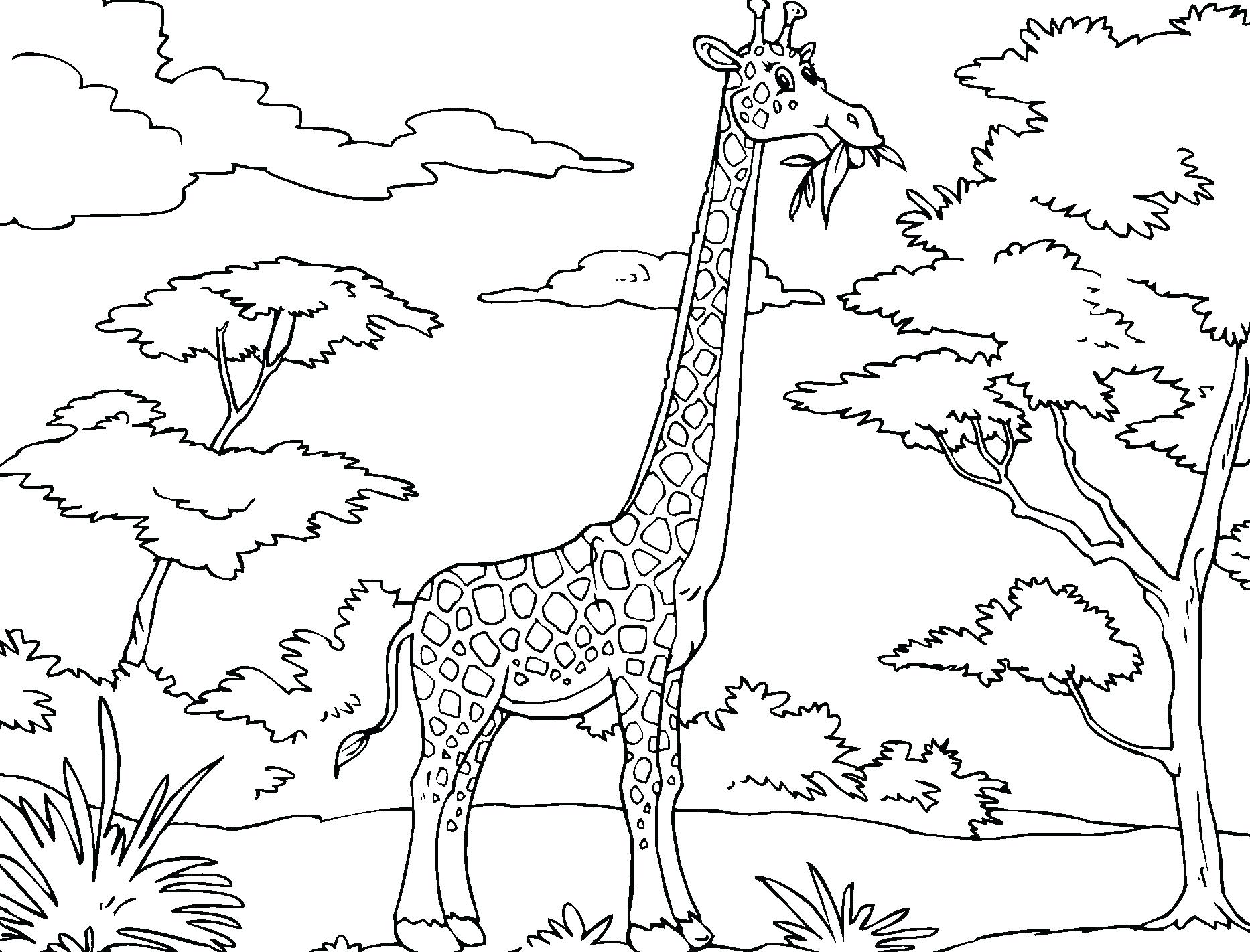 1866x1422 Coloring Pages Flowers Free Printable Amazing Elephant Cartoon