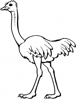 268x350 Free Coloring Page Of African Trees Ostrich Coloring Page