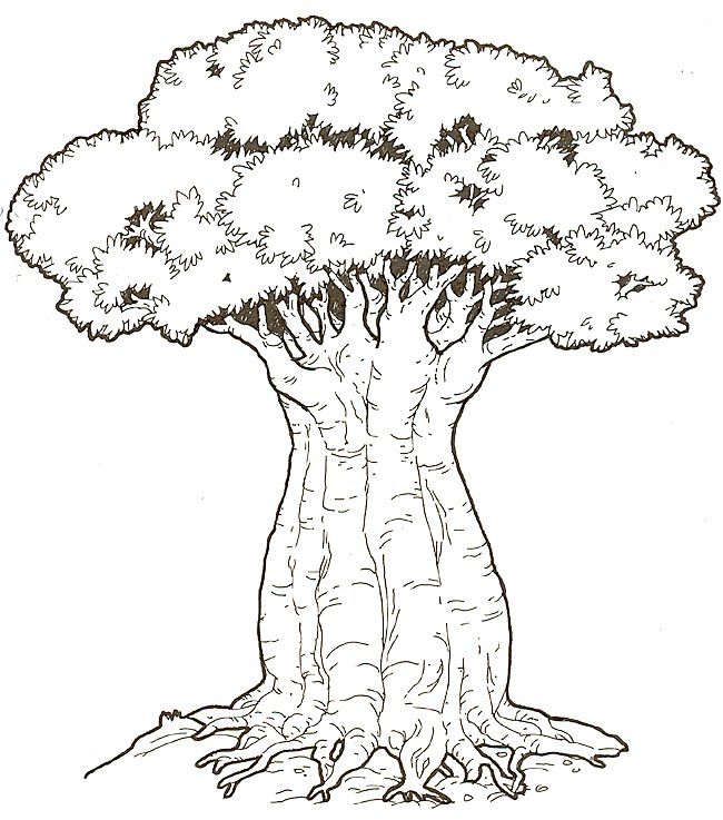 650x737 Whirls And Twirls Around The World Kenya Crafts Baobab Trees