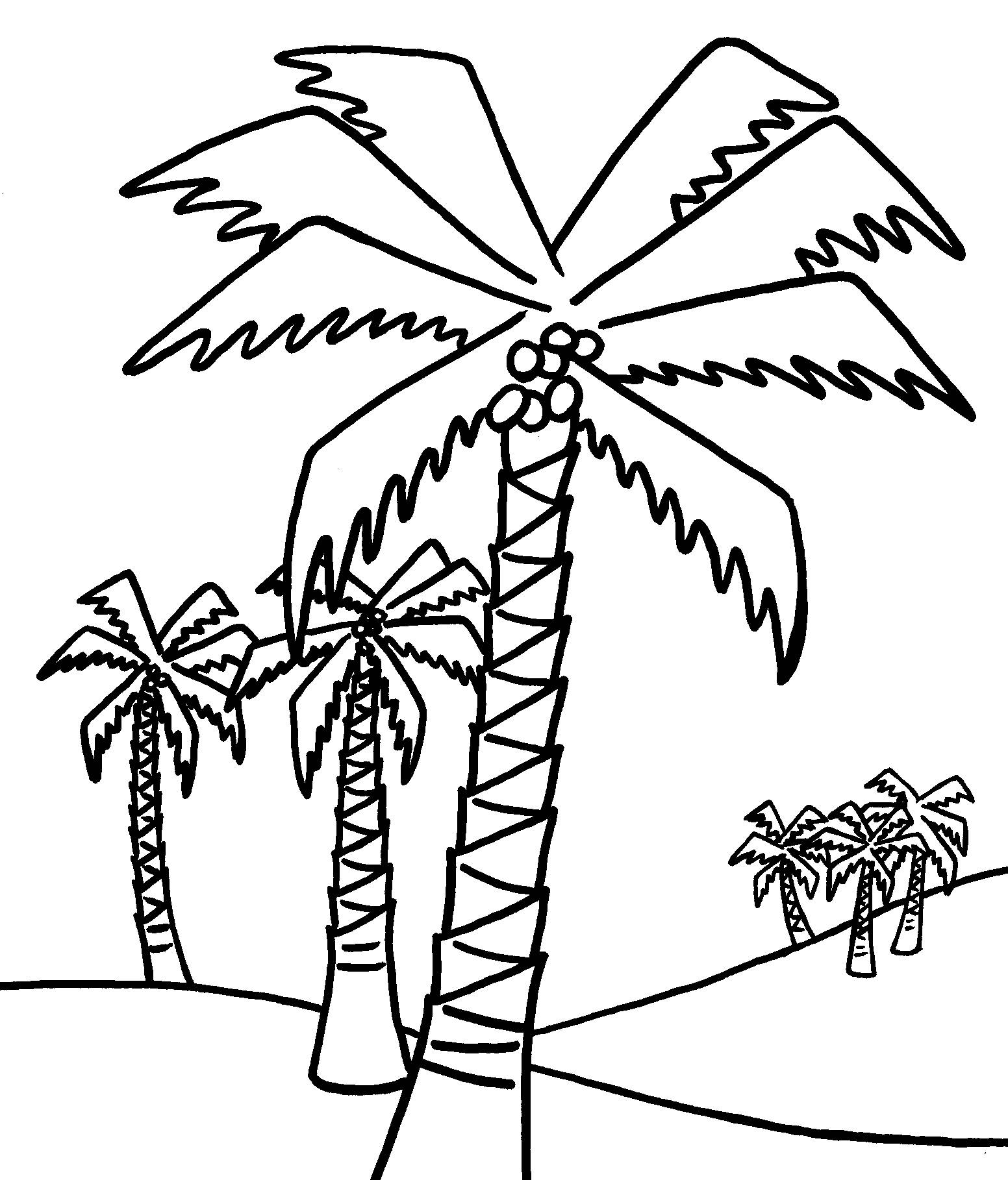 1552x1818 Coloring Pages Of A Palm Tree Printable Coloring For Kids 2018