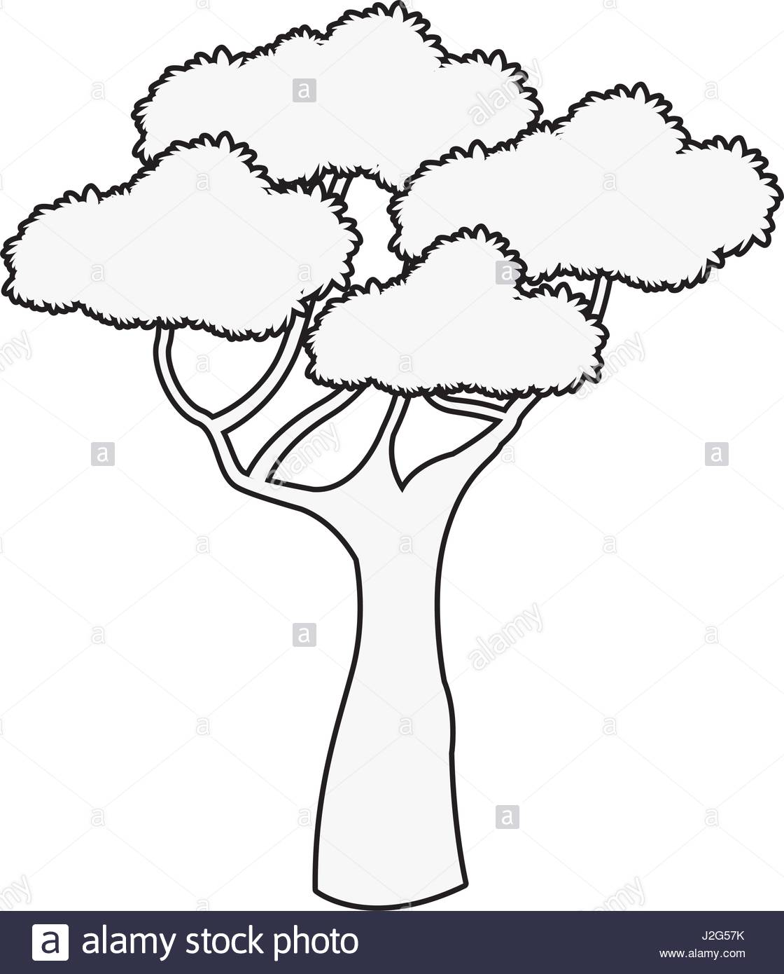 1120x1390 Outline Image Of Tree