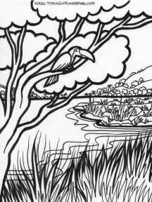 216x288 Pics Photos Rainforest African Animals Coloring Page Exploring