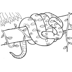 230x230 Top 25 Free Printable Snake Coloring Pages Online