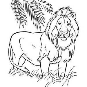 300x300 Girls Lions Colouring Pages, Picture Of Lion To Color