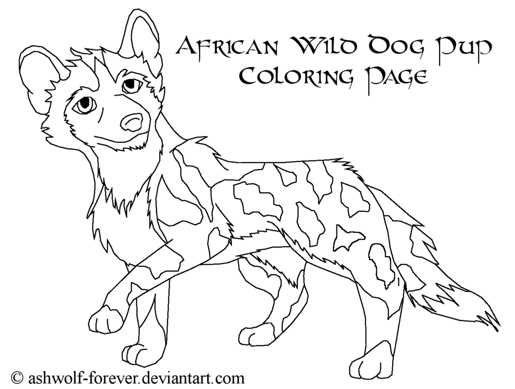1024x773 Free African Wild Dog Pup Coloring Page By Ashwolf Forever