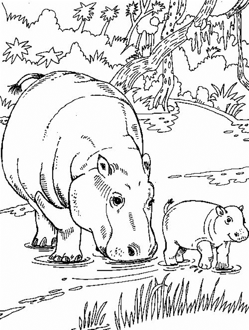 835x1104 Fresh Free Wild Animal Coloring Pages Gallery Printable Coloring
