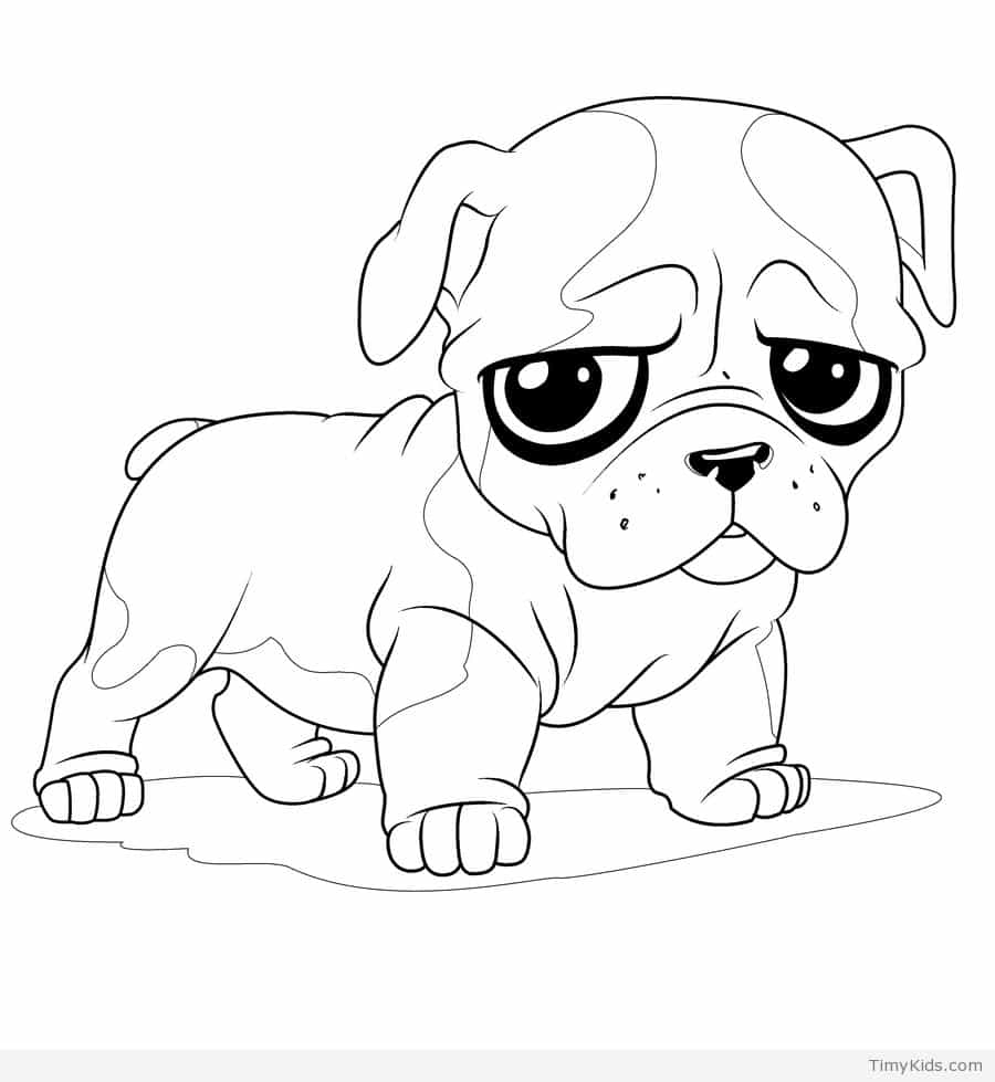 900x979 Fresh Funny Animals Coloring Page Cute Dog Coloring Pages