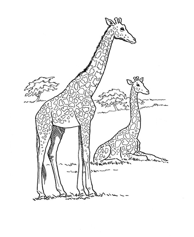 670x820 Wild Dog Coloring Pages 3