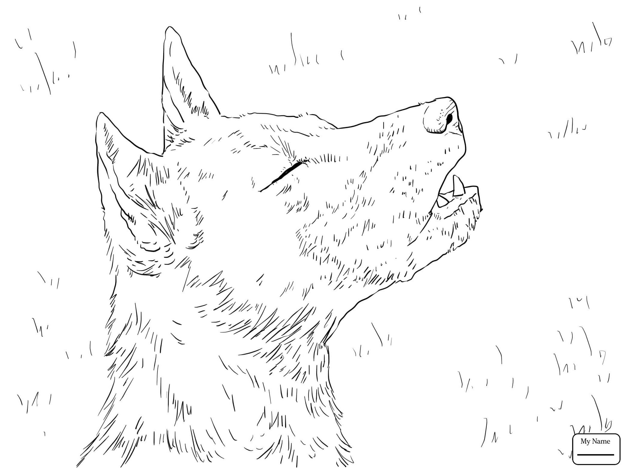 2089x1567 African Wild Dog Coloring Pages Coloring Pages