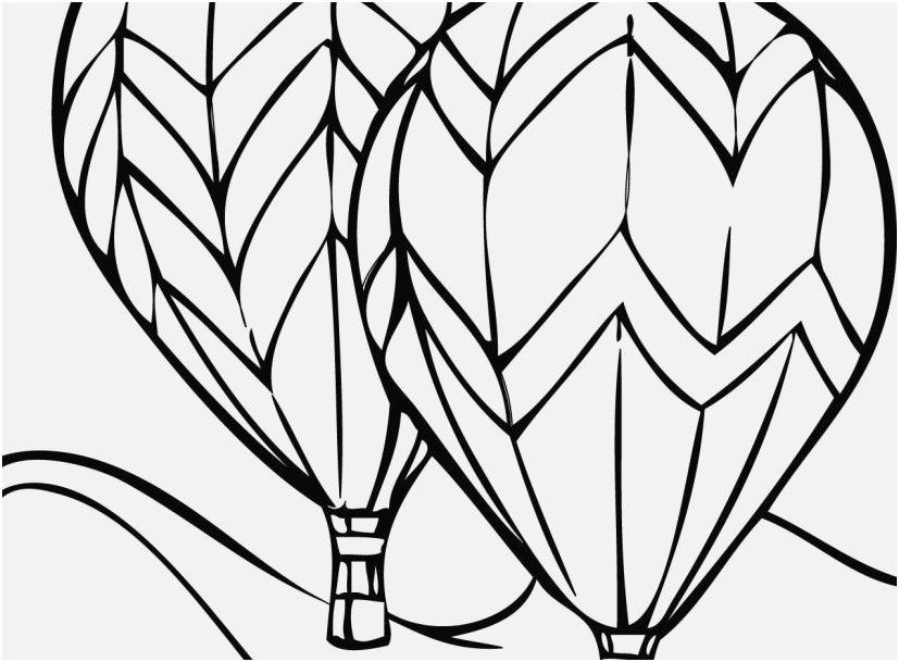 827x609 The Right Photo Water Coloring Pages Handsome