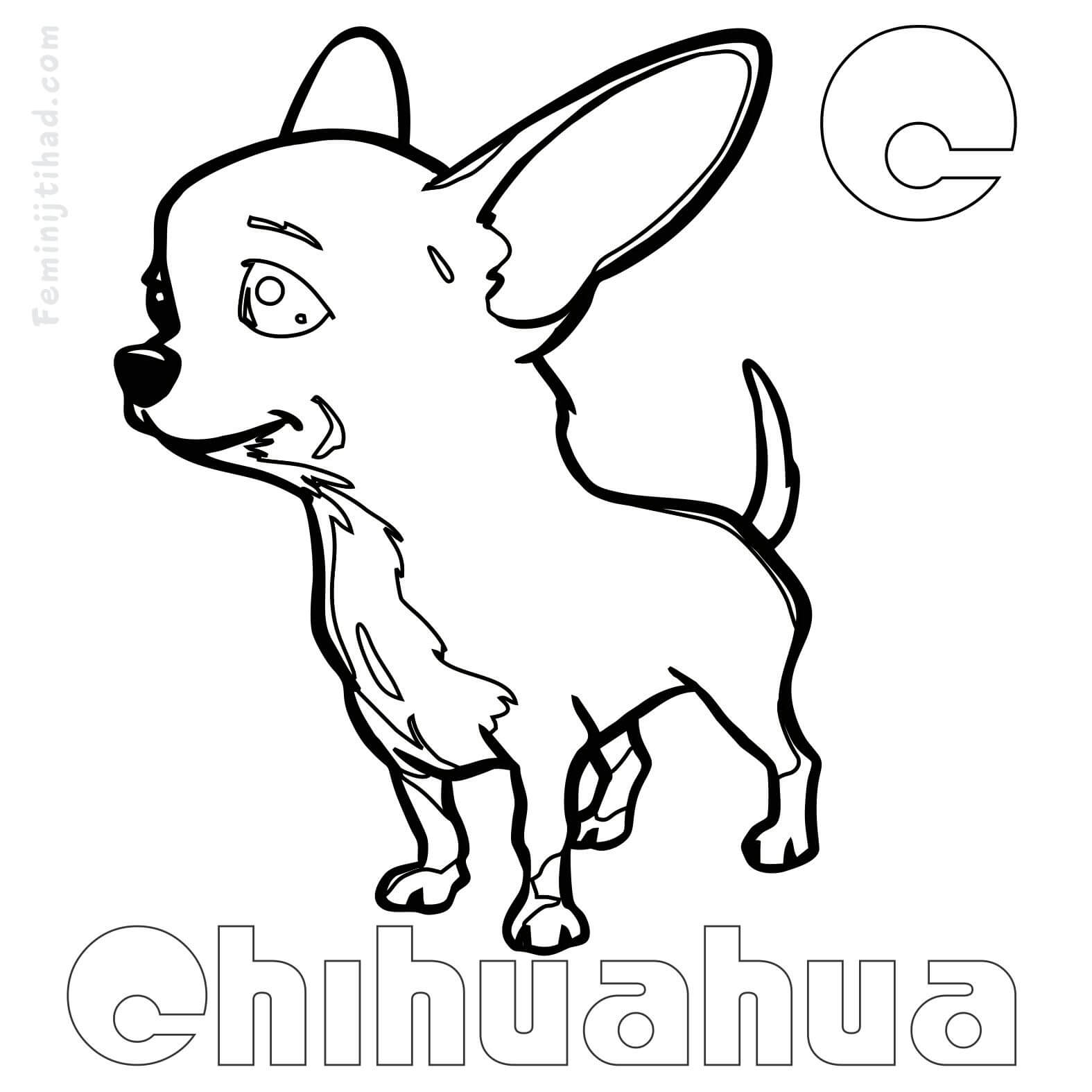 1575x1575 Chihuahua Coloring Pages 3