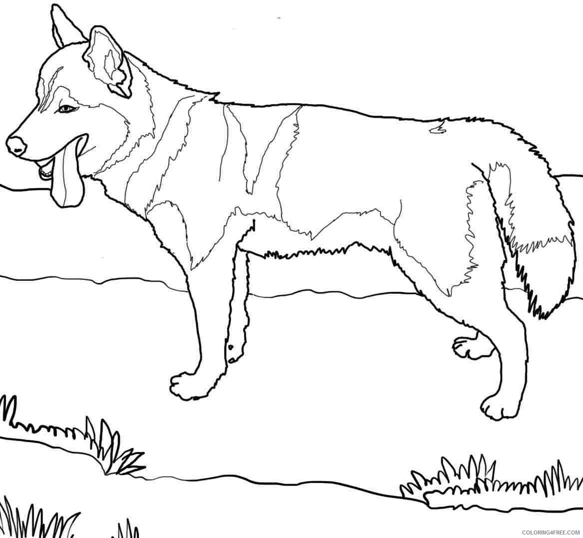 1167x1077 Dog Coloring Pages Akita Inu Coloring4free