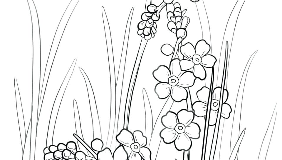 960x544 Alaska Coloring Pages 1 National Baked Day And A Free Coloring