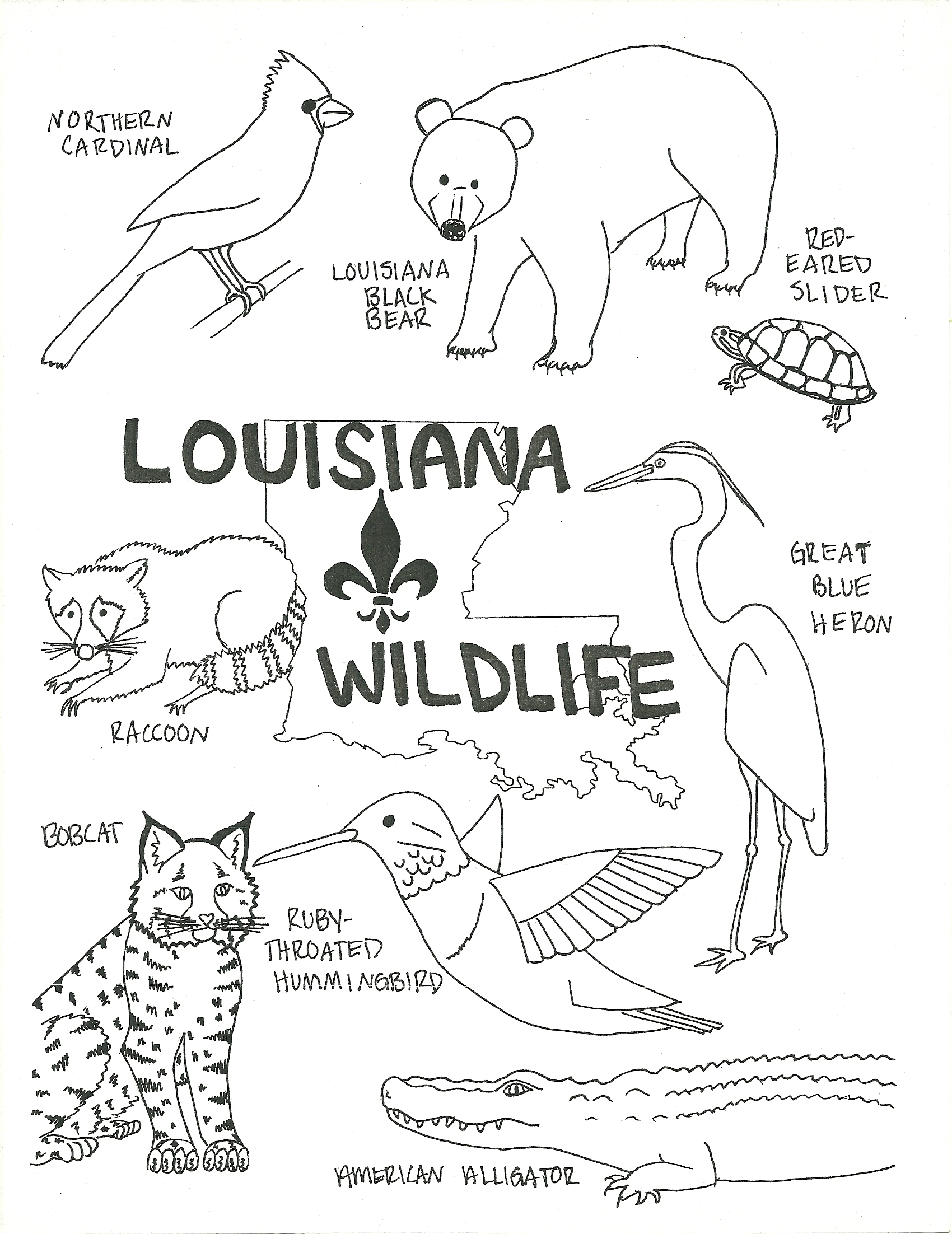 1700x2204 Tested Wildlife Animal Coloring Pages Alaska 20wildlife