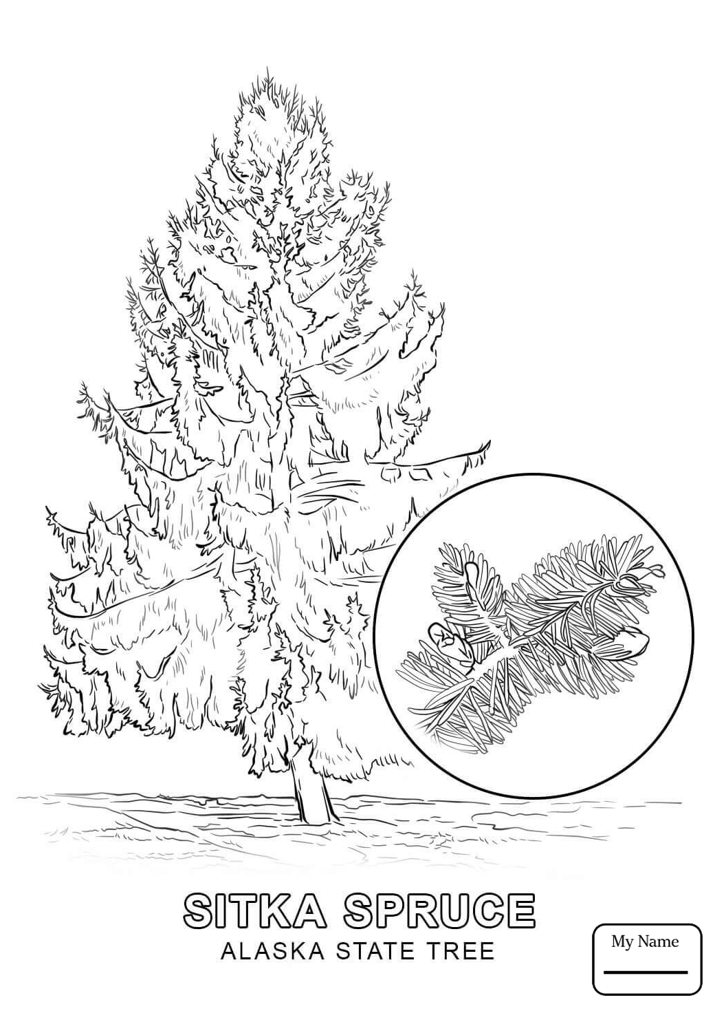 1040x1469 Alaska Coloring Pages