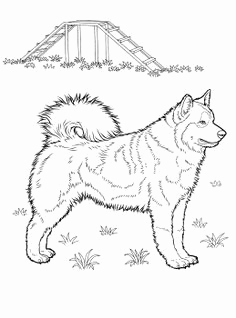 236x318 Alaskan Malamute Coloring Page Alaska Coloring Page Ohmygirl.us