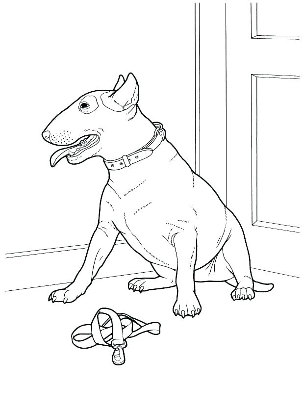 618x836 Husky Puppy Coloring Pages Also Husky Puppy Coloring Pages Husky