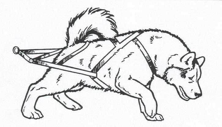 726x415 Pin By Jarrod Coomer On Iditarod