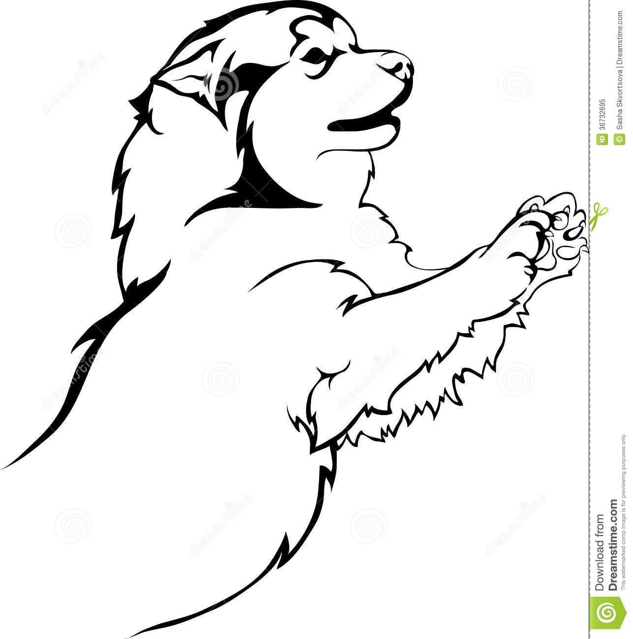1287x1300 Malamute Drawing Dog Breed 36732695.jpg Animal