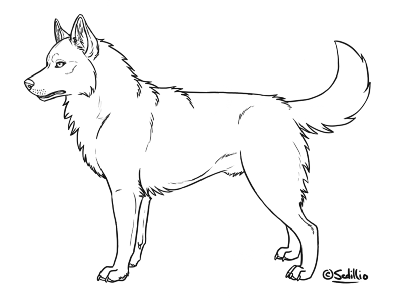 800x608 Alaska Coloring Pages