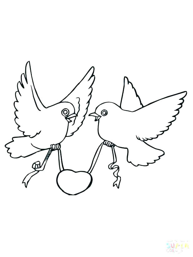 618x824 Puffin Coloring Page Rock Coloring Page Rock Cycle Coloring Page