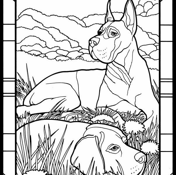 603x600 Great Coloring Pages Coloring Page