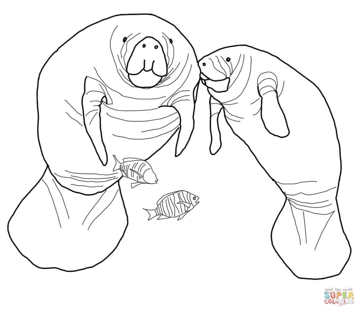 1160x1000 Manatee Coloring Pages