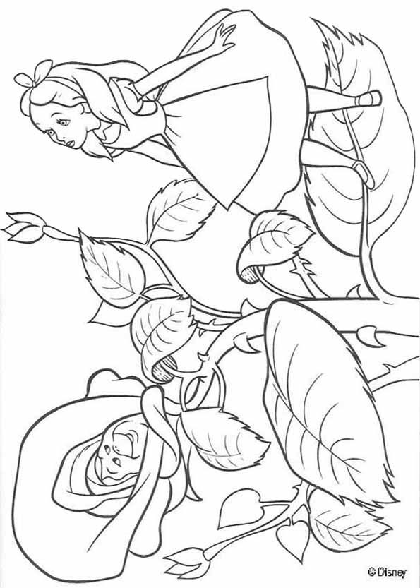 595x833 Alice In Wonderland Colouring Page Coloring Pages