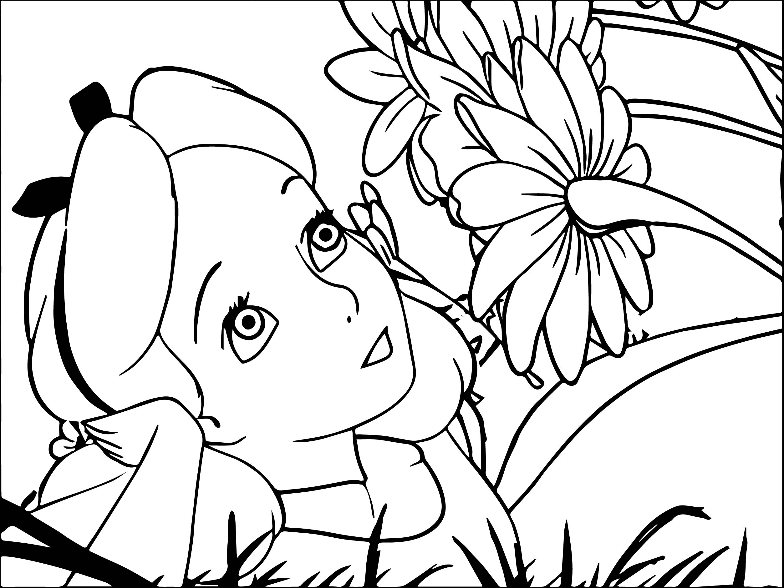 2506x1881 Alice In The Wonderland Flower Picture Coloring Page Wecoloringpage