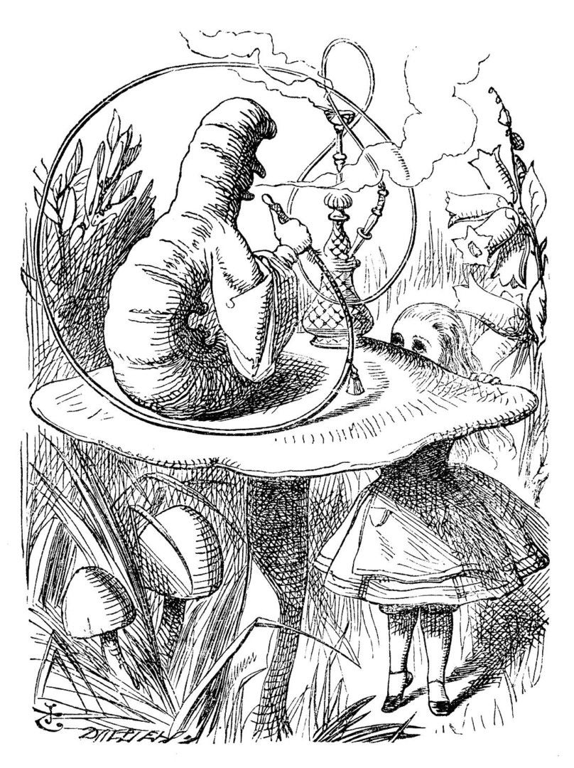 808x1080 Httpcolorings.coalice In Wonderland Caterpillar Smoking
