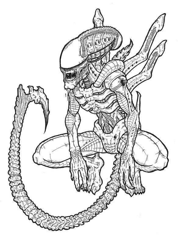 600x779 Alien And Predator Drawings