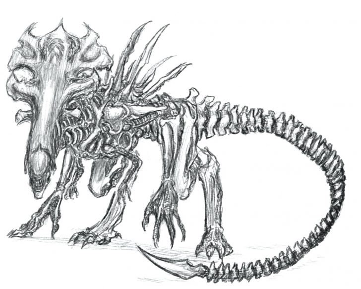 728x582 Alien Coloring Pages Printable Aliens Vs Predators Ben 10 Ultimate