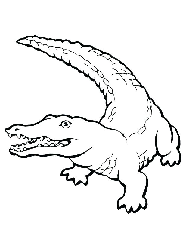618x824 Coloring Alligator Alligator Coloring Alligator Coloring Pages