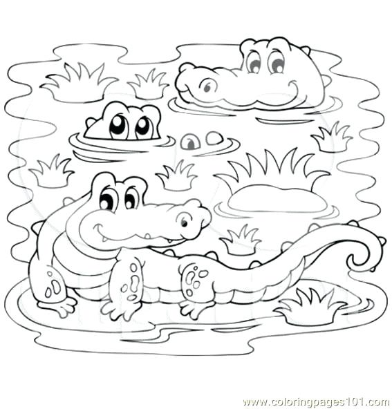 Alligator Printable Coloring Pages