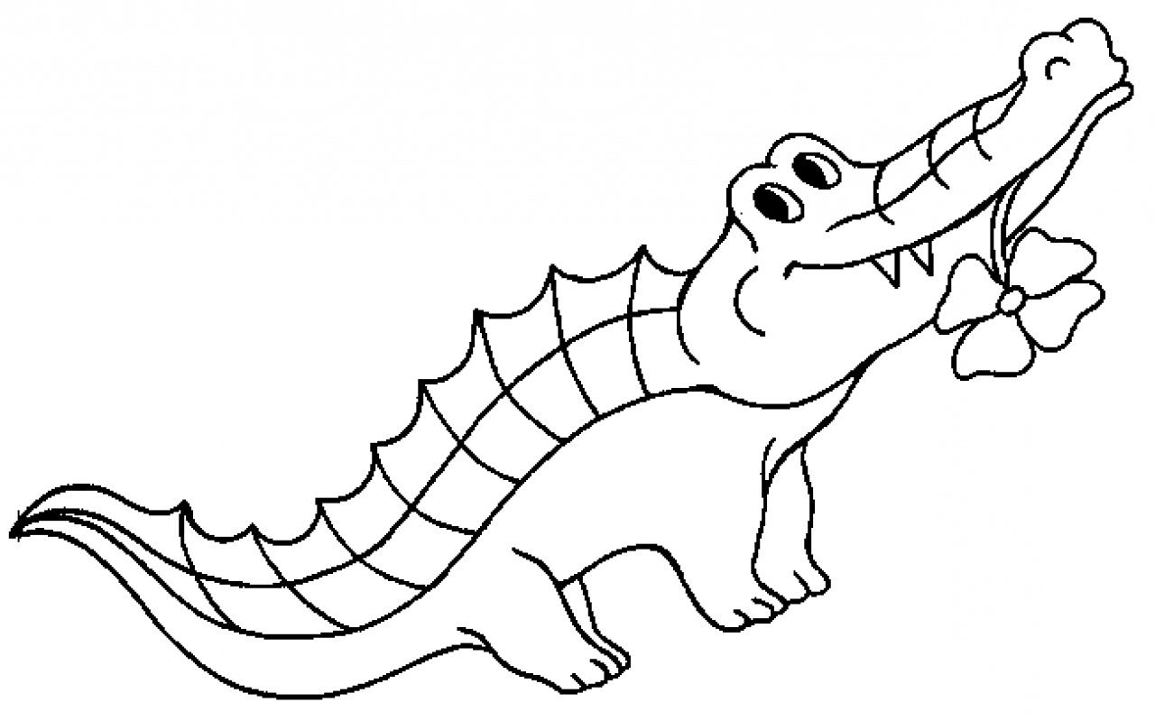 1280x799 Miracle Alligator Pictures To Color Realistic