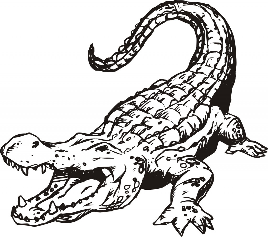 1024x907 Alligator Coloring Pages Elegant Free Printable Alligator Coloring