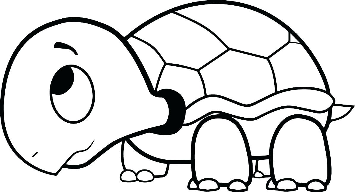 1196x648 Turtle Coloring Pictures Turtle Coloring Page Free Ninja Turtle