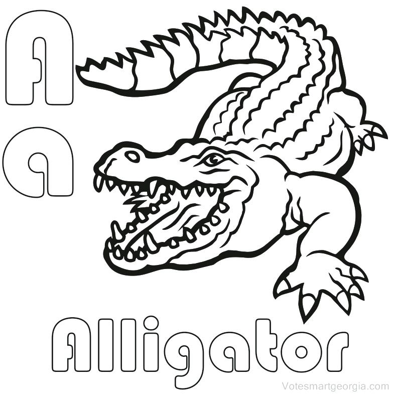 787x787 Alligator Coloring Pictures