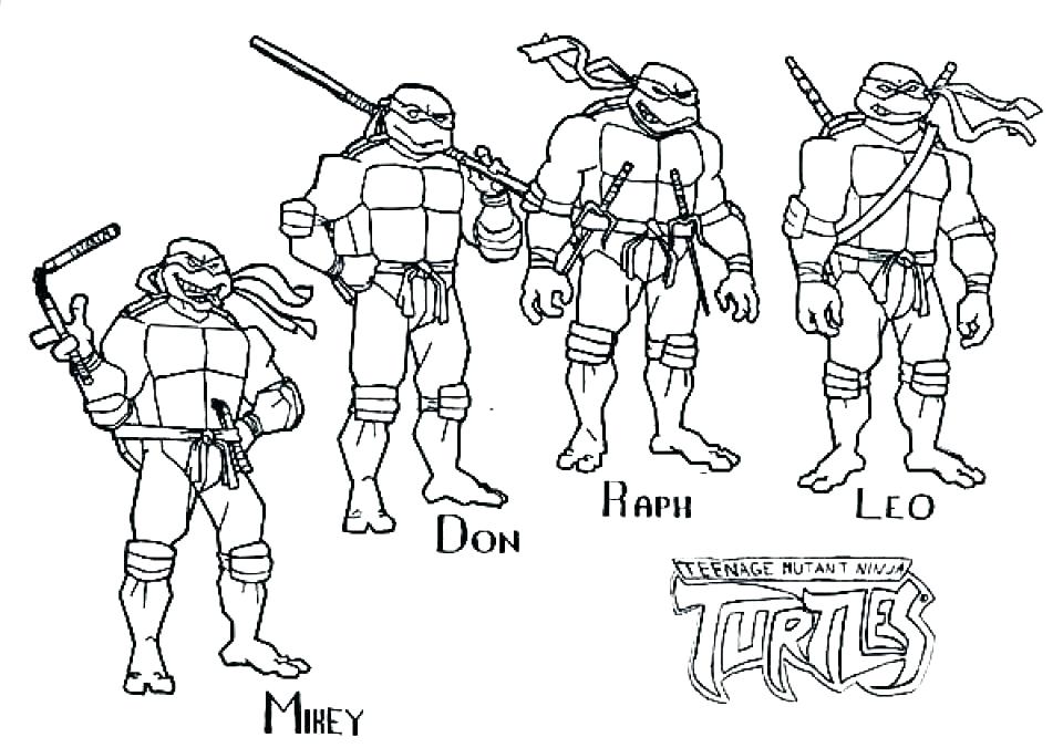 960x676 Turtle Coloring Sheet
