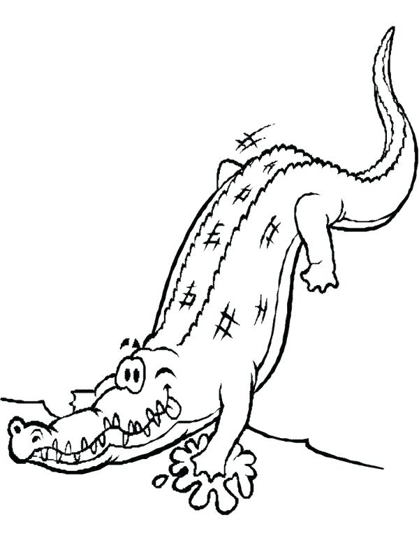600x800 Alligator Coloring Pictures Reptile Alligator Coloring Pages