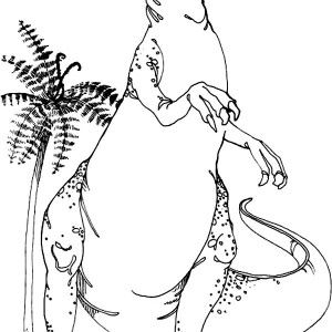 Allosaurus Coloring Page