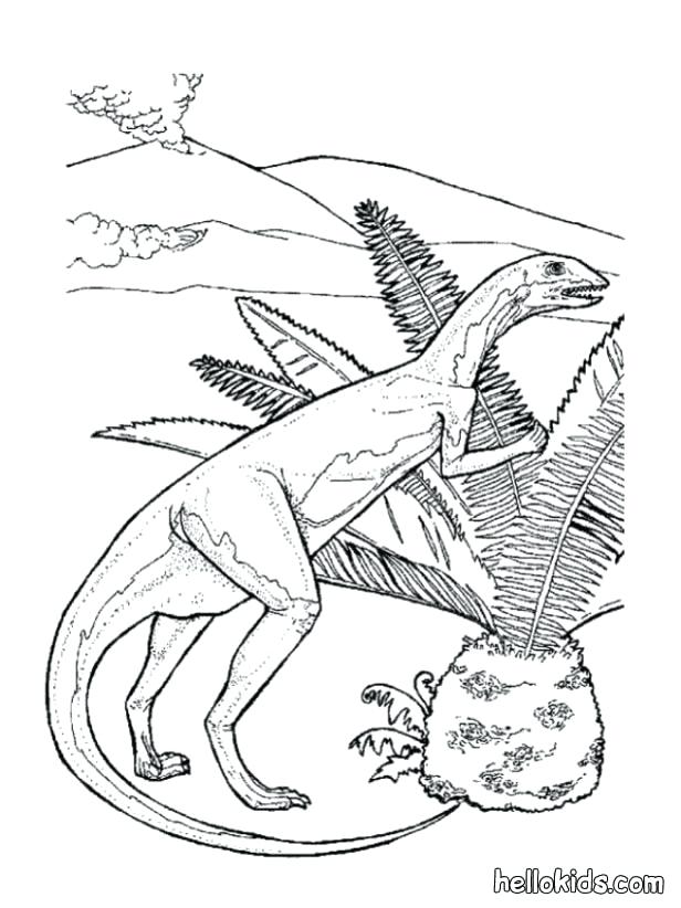 616x822 Allosaurus Coloring Page Other Prehistoric Animal Coloring Pages