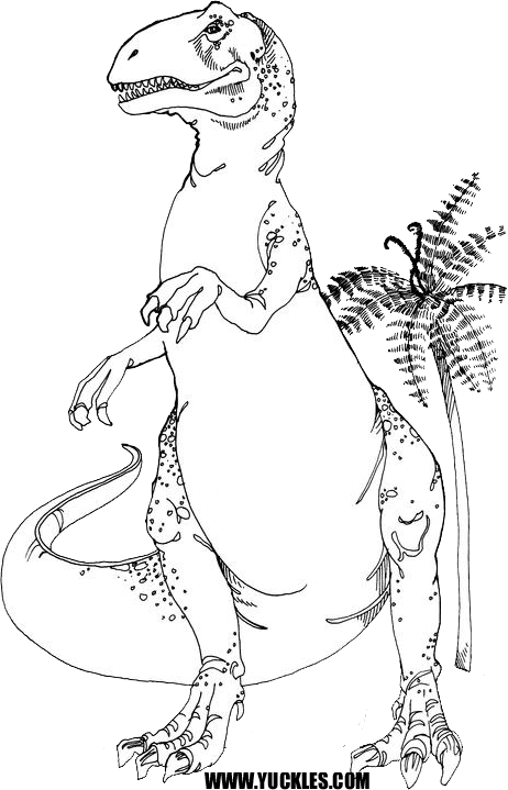 462x719 Allosaurus Coloring Page By Yuckles!