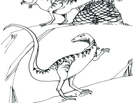 440x330 Allosaurus Coloring Page Coloring Book Coloring Page Dinosaur