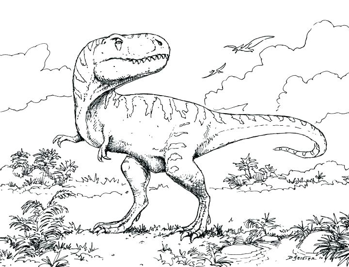 720x550 Allosaurus Coloring Page Coloring Page Pages Free Allosaurus
