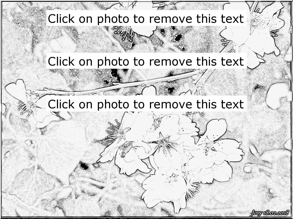 1024x768 Nature Flower Almond Tree Coloring Pages